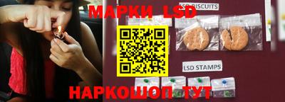 мдпв Донской
