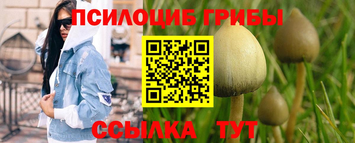 Псилоцибиновые грибы GOLDEN TEACHER Междуреченск